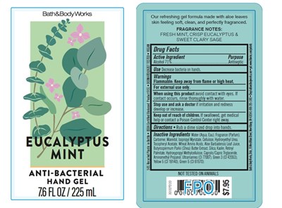 FS ABHG Euc Mint - FS ABHG Eucalyptus Mint